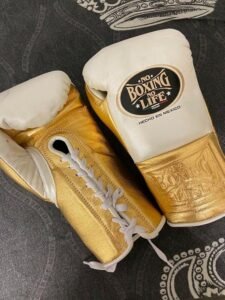 No Boxing No Life Gloves | Premium Boxing Equipment & Mitts