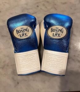No Boxing No Life Gloves | Premium Boxing Equipment & Mitts